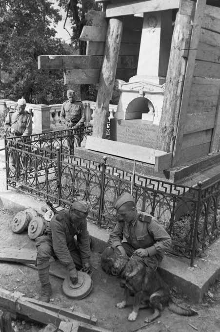 Великая Отечественная в фотографиях - 25