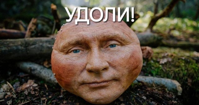 За неделю суды оштрафовали 150 граждан, которые опубликовали негативные отзывы о фильме «Последний богатырь. Колобок»⁠⁠