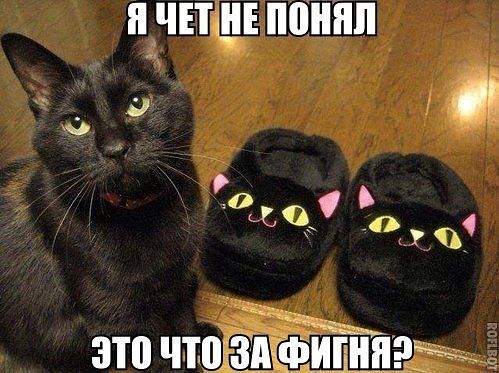 Тема для юмора