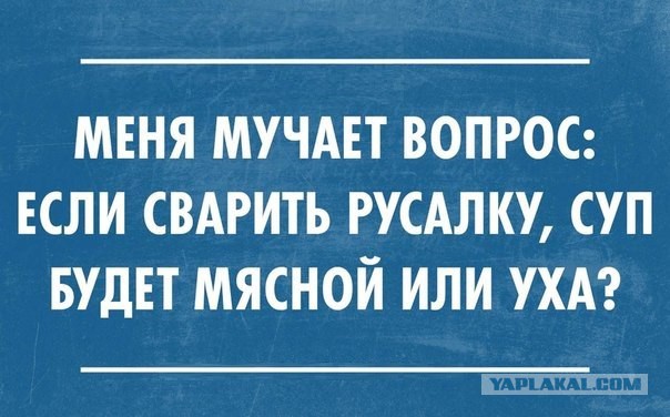 Смешные картинки из инета