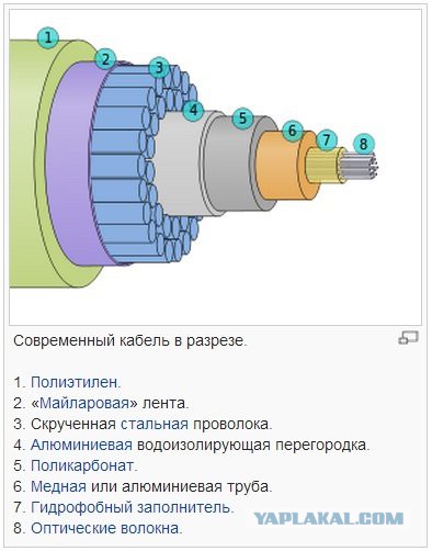 Так выглядит подводный высоковольтный кабель