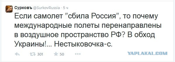 Странности...На Малазийский Боинг не загружали еду