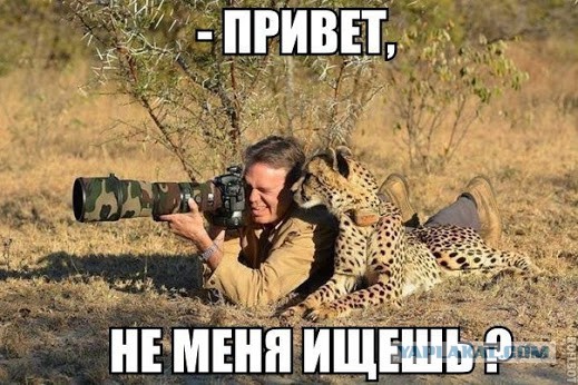 Картинки для настроения