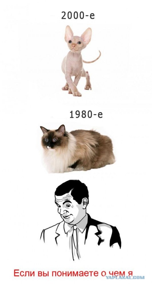 Если вы понимаете о чём я ;)
