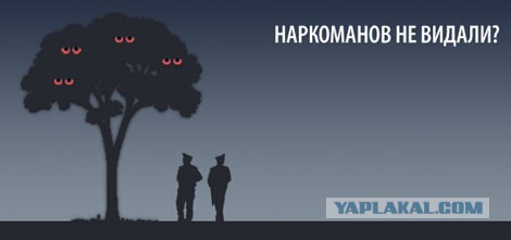 Алко-Нарко-Психо-Фармо и т.п. поборка