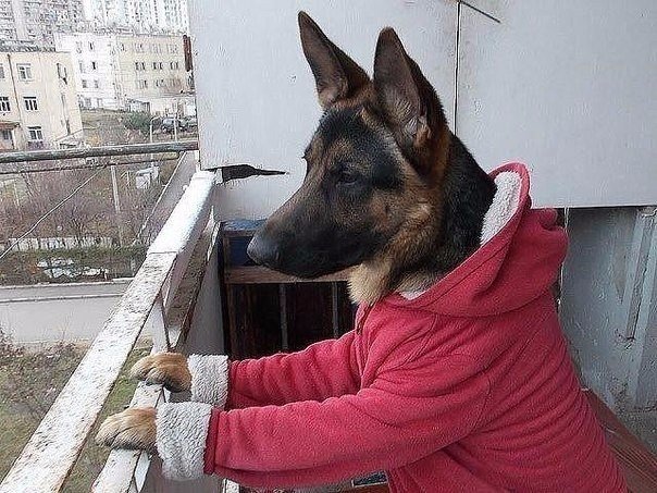 Приколы из соцсетей