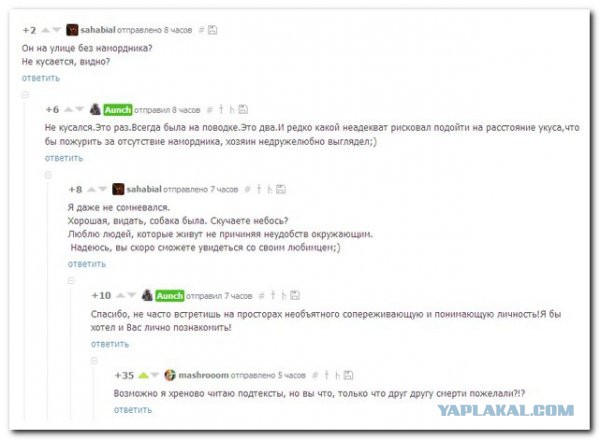 Смешные комментарии из социальных сетей