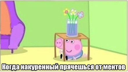 Забавные картинки из Сети