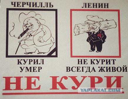Интересные и смешные фото