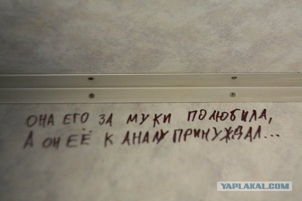 Веселые картинки