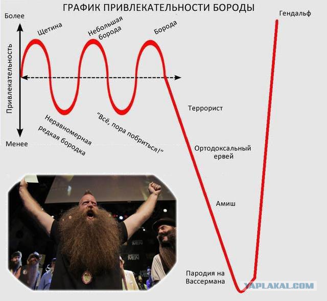 Борода. Перепись бород Япа.