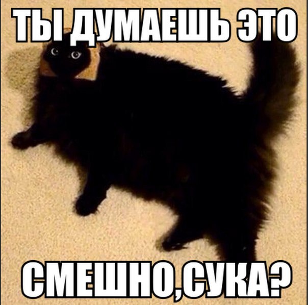 Картинки и демотиваторы