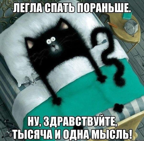 Пучок смешных картинок