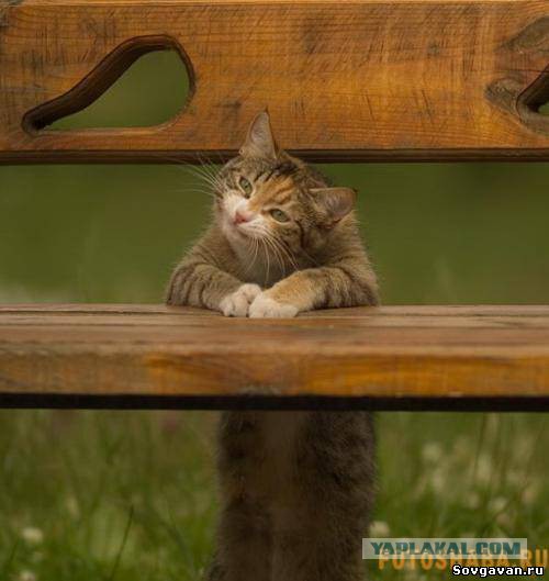 Железнодорожного юмора пост