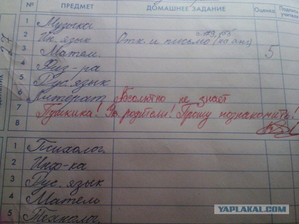 Записи в школьных дневниках