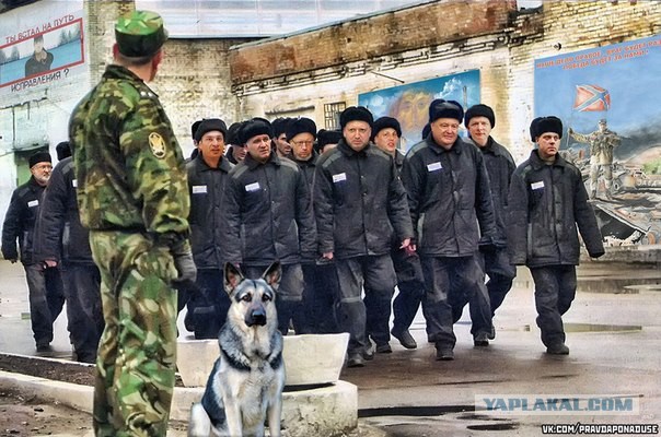 Премьер-министр Украины Арсений Яценюк подал в отставку