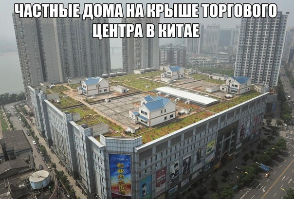 Подборка интересных и веселых картинок