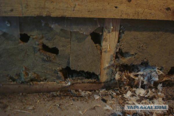 Как правильно утеплить свой дом и при этом облицевать его искусственным камнем