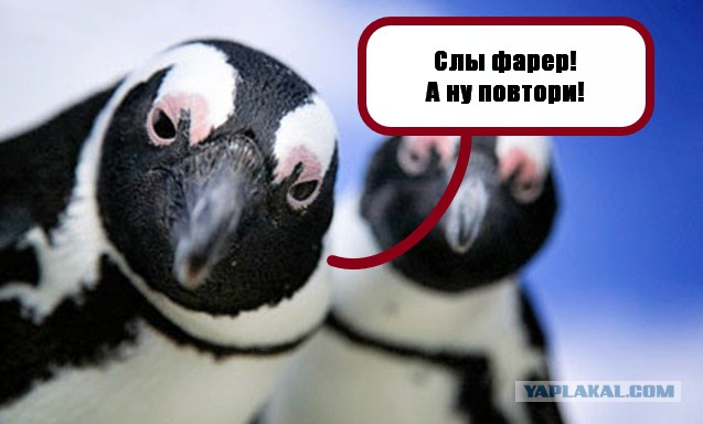 Художник Кдыров Данияр