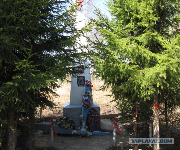 Эхо войны. Номер на Як-1 вернул имя летчика