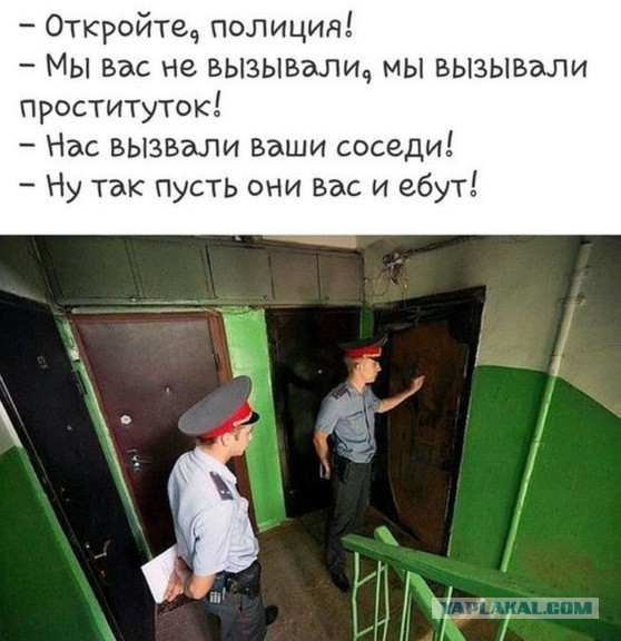 Подборка прикольных и веселых фото