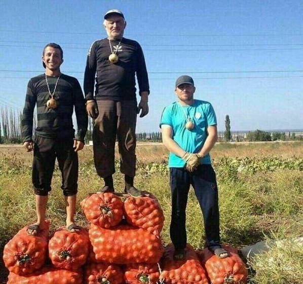 Ужасы и приколы из соцсетей 18+