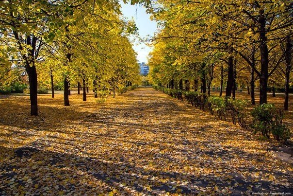 Осенний Тольятти Фото