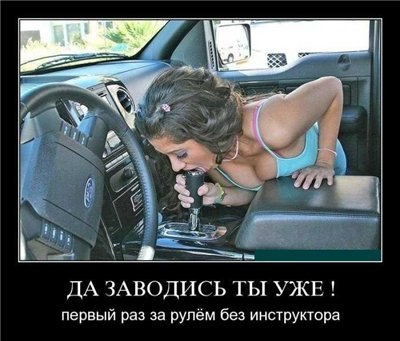 Порция картинок из сети.