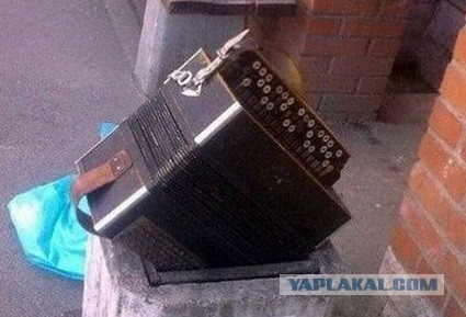Юмор не для всех
