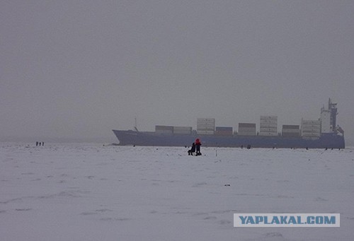Попутка на льду
