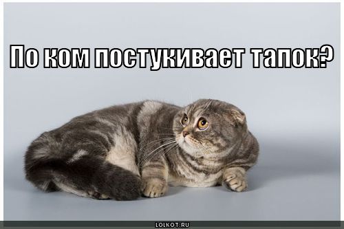 ЯП посетители (дополнения 4)