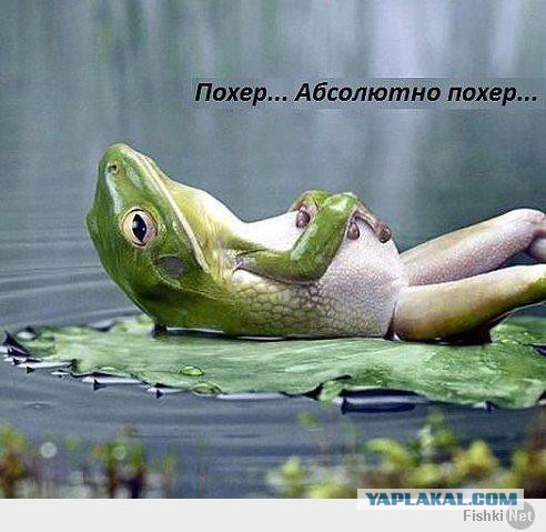 Десант на ЯП