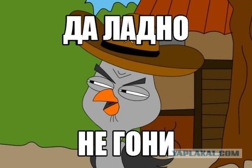 Всех участников незаконных митингов распознает система "Сова"