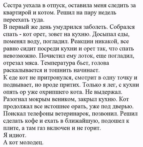 Забавных картинок не хотите ли?