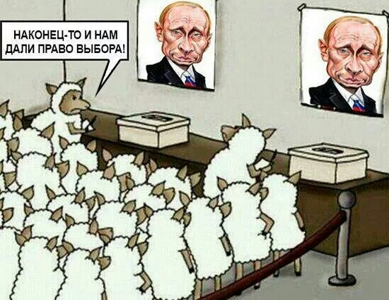 Подборка интересных и веселых картинок