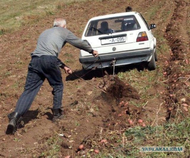 Стыдно за великую обворованную Россию