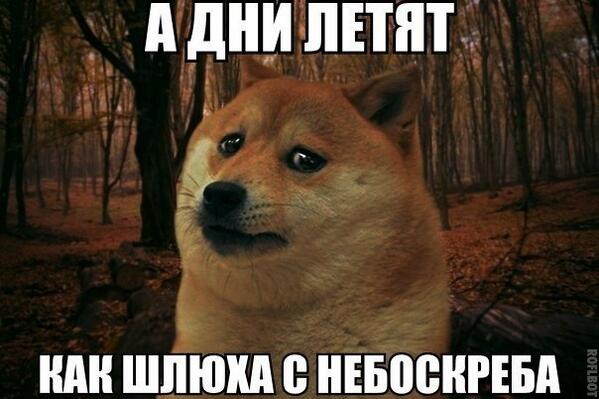 «Лови ее!»