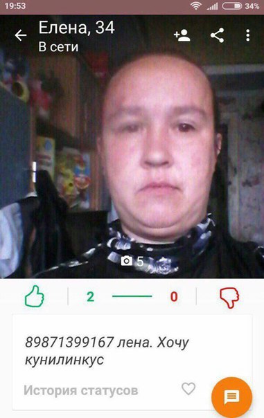Скотсети и прочие интернеты 05.04.19