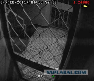 Необъяснимые явления