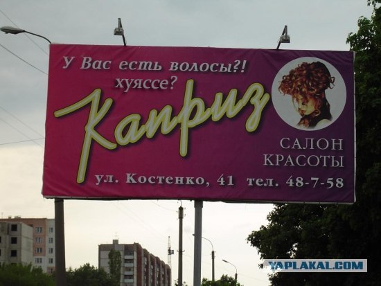Эта жучка изрядная сучка!
