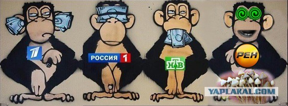 А как прошел твой год?