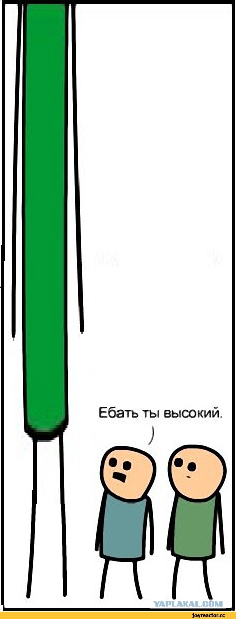 Кто крупнее: Скала или Шакил О'Нил? Фото, доказывающие, что всё познаётся в сравнении