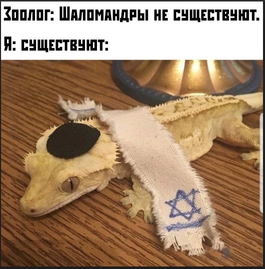 Немного картинок