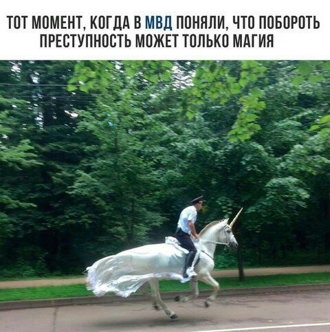 Картинки разнообразные. На злобу дня и на доброту (05.10)