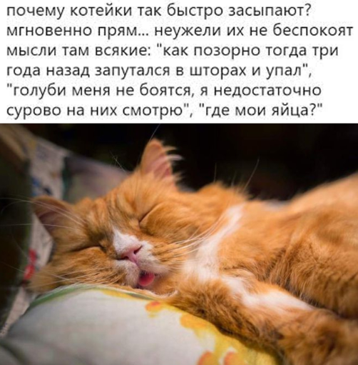 Бредзона 27.01.21