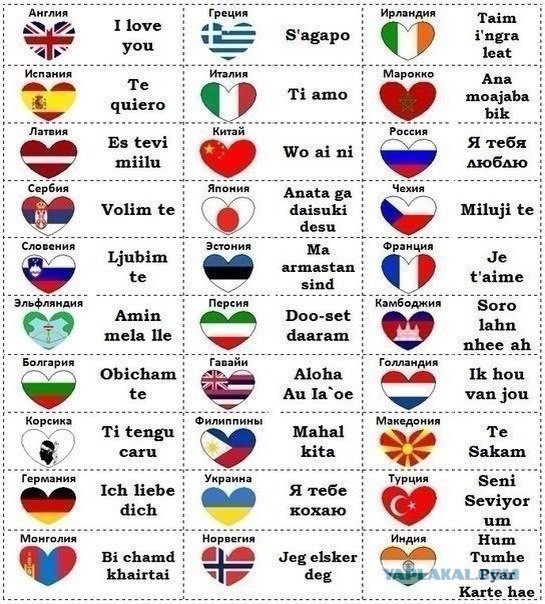 Различные  руководства и инфографики.
