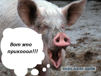 ���������� �������� � ���������� � ���������