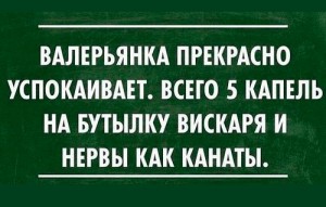 Алкопост 12.11.21