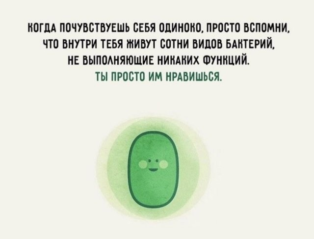 Так себе картинки 15.07.22