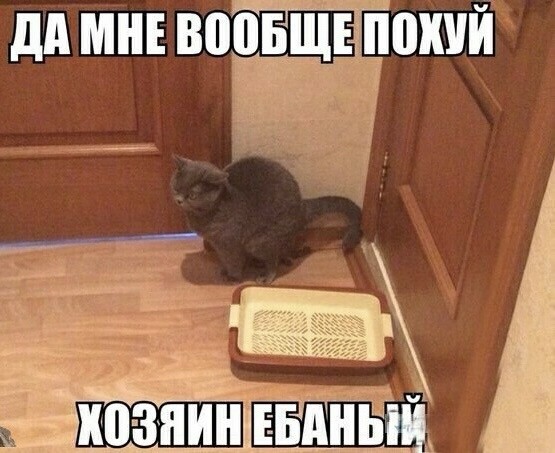 Мой сборник баянов